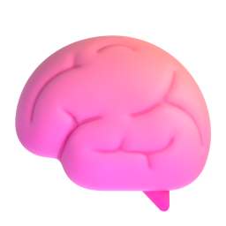 Brain 3D