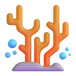 Coral 3D