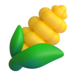 Ear of Maize 3D
