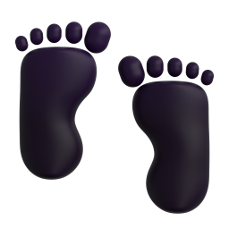 Footprints 3D