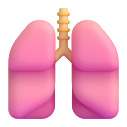Lungs 3D