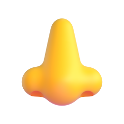 Nose 3D