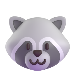 Raccoon 3D