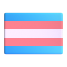 Transgender Flag 3D