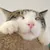 Tinypng Mcp Server logo