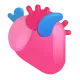 Anatomical Heart Color