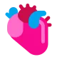Anatomical Heart Flat
