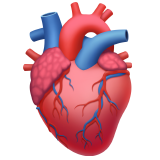 Anatomical Heart Apple Emoji
