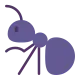 Ant Flat