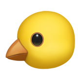 Baby Chick