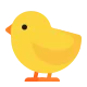 Baby Chick Flat