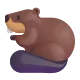 Beaver Color