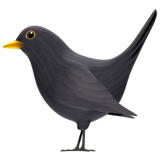 Apple Emoji iOS 16.4.