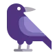 Black Bird Flat