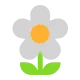 Blossom Flat