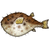Apple Emoji iOS 9.3.