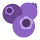 Blueberries Flat