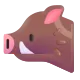 Boar Color