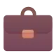Briefcase Color