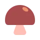 Brown Mushroom Flat