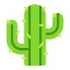 Cactus Flat