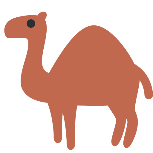 Dromedary Camel