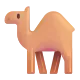 Dromedary Camel Color