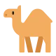 Dromedary Camel Flat