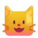 Cat Face Color