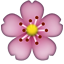 Apple Emoji iOS 4.0.