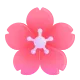 Cherry Blossom Color