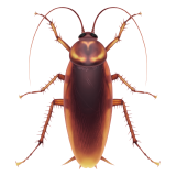 Apple Emoji iOS 16.4.