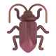 Cockroach Color