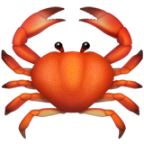 Apple Emoji iOS 14.6.