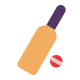 Cricket Bat and Ball Flat