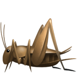 Apple Emoji iOS 14.6.