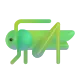 Cricket Color