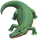 Crocodile