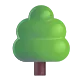 Deciduous Tree Color