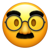 Disguised Face