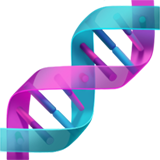 DNA Double Helix