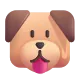 Dog Face Color