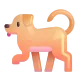 Dog Color