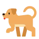 Dog Flat