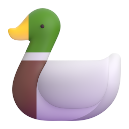 Duck 3D