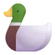 Duck Color