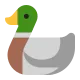 Duck Flat