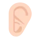 ear: medium-light skin tone Flat