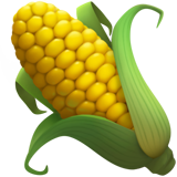 Ear of Maize