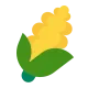 Ear of Maize Flat